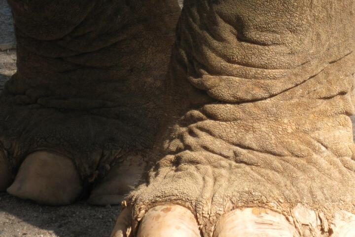 Stopiti iz cone udobja